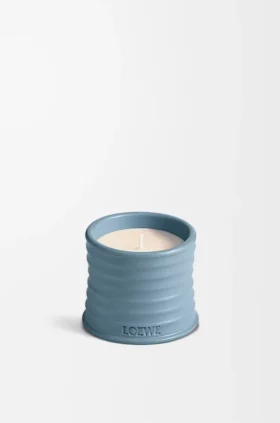 Litet Cypresskottar-ljus