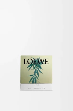 Litet doftljus med doft av Scent of Marihuana