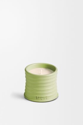 Litet gurka-ljus