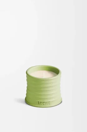 Litet gurka-ljus