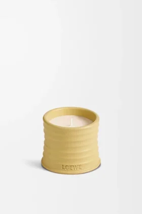 Litet kaprifol-doftljus