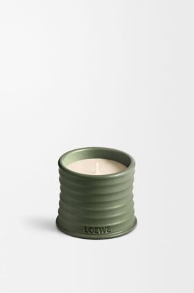 Litet marijuana-ljus