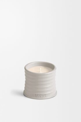 Litet Oregano-ljus