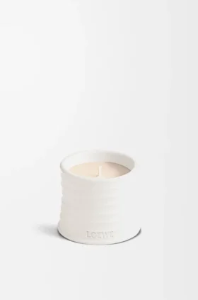 Litet Oregano-ljus