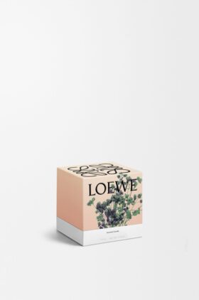 Litet Oregano-ljus