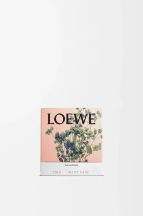 Litet Oregano-ljus