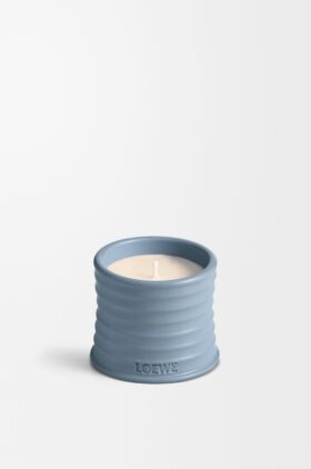 Ljus med små Cypresskottar