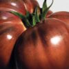 Tomatblad rumssprejer Tomatblad rumssprejer