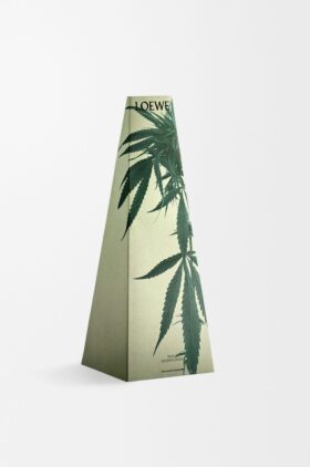 Ljuslykta med Scent of Marihuana Ljuslykta med Scent of Marihuana