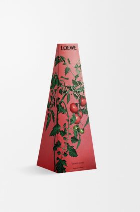 Ljusstake i vax med tomatblad