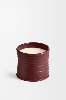 Medelstort ljus av rödbetor Medelstort ljus av rödbetor