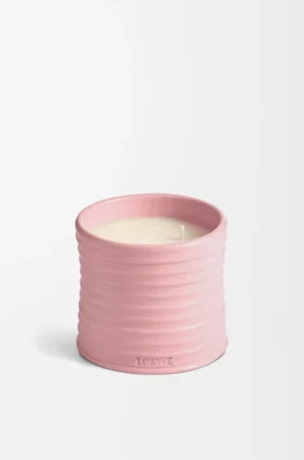 Medelstort Murgröna ljus Medelstort Murgröna ljus