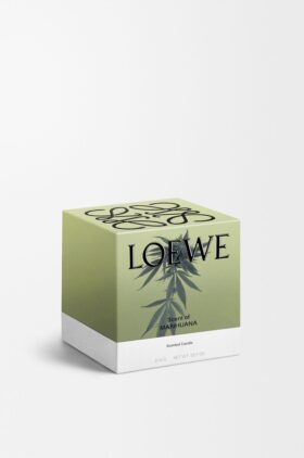 Medium marijuana-ljus Medium marijuana-ljus