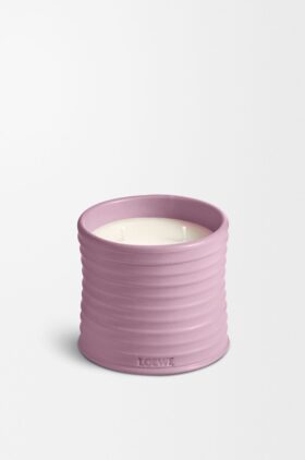 Medium Murgröna Candle