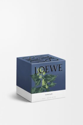 Medium Murgröna Candle