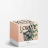 Medium Oregano-ljus Medium Oregano-ljus
