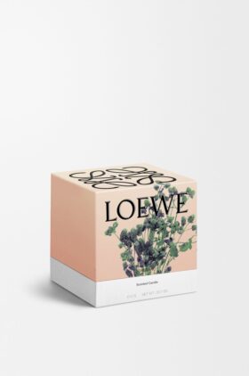 Medium Oregano-ljus