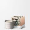 Medium Oregano-ljus Medium Oregano-ljus