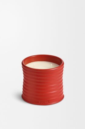 Medium tomatblad-ljus