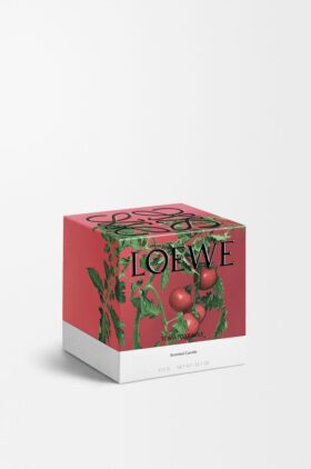 Medium tomatblad-ljus
