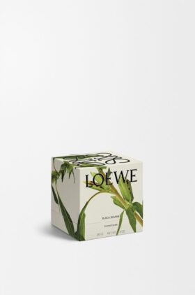 Midi Black Sesame Candle Midi Black Sesame Candle