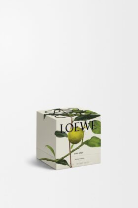 Midi Earl Grey-ljus Midi Earl Grey-ljus