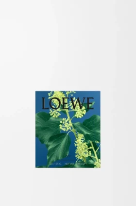 Murgröna tvålduoset