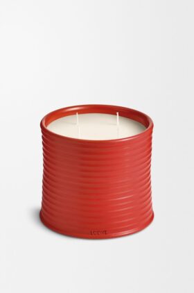 Stort ljus med tomatblad